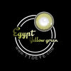 TTDeye Egypt Yellow-Green Colored Contact Lenses