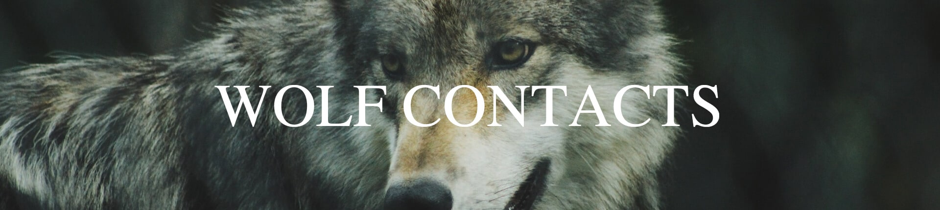 Wolf Contacts