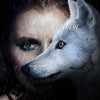 TTDeye Black Wolf Colored Contact Lenses